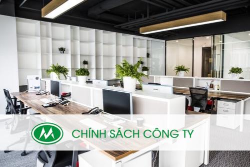 Chính sách bảo hành