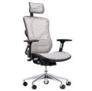Ghế Công Thái Học Ergonomic