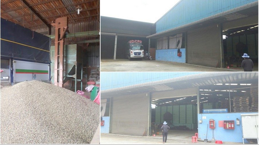 Khung cảnh b&ecirc;n ngo&agrave;i của xưởng sản xuất c&agrave; ph&ecirc; Aroli B&igrave;nh Phước